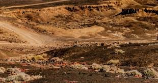 日职打者的选球能力培养